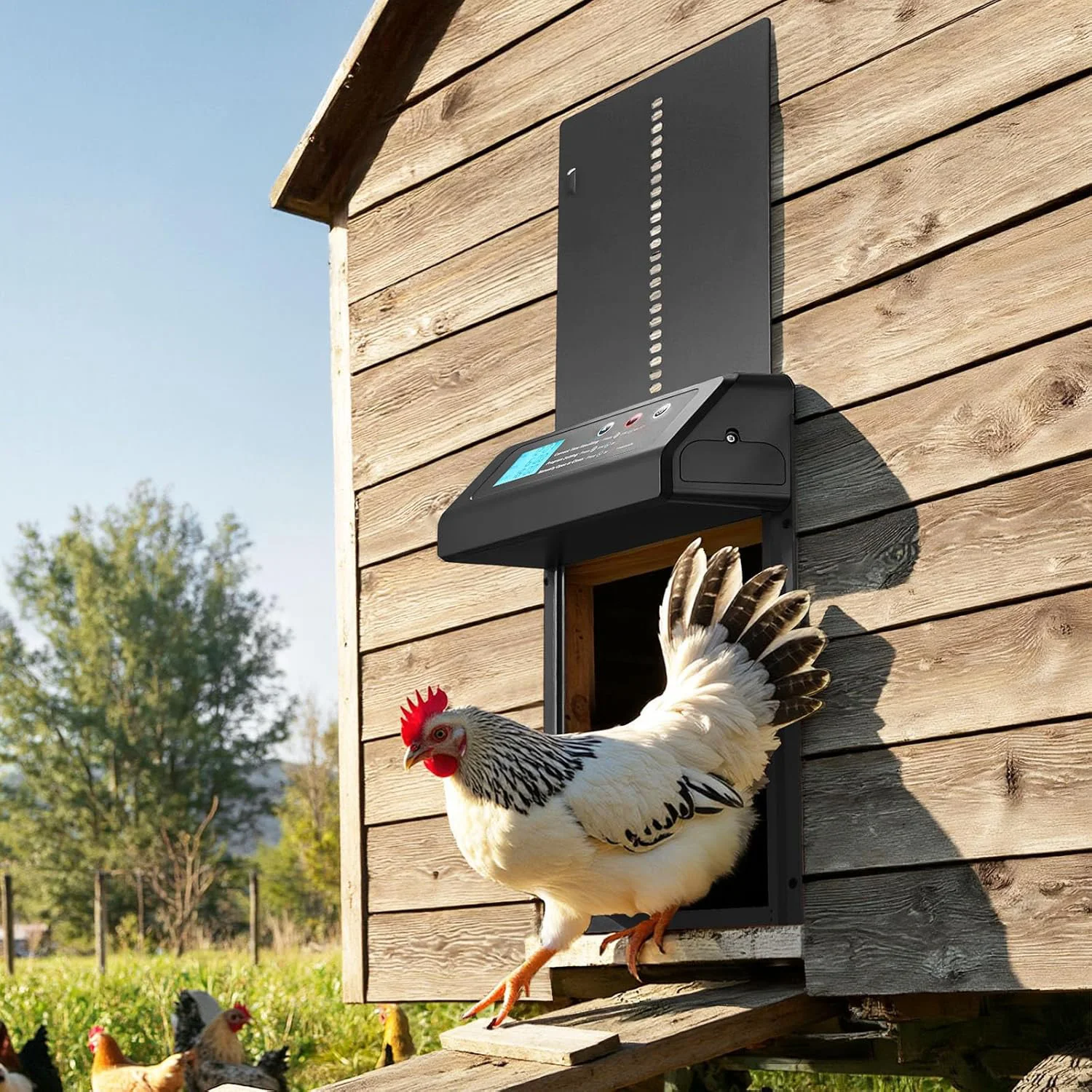 فتاحة باب حظيرة الدجاج الأوتوماتيكية مع مؤقت وشاشة LCD - هيكل ألومنيوم عالي التحمل، أمان مضاد للقرص، سهل التركيب #1