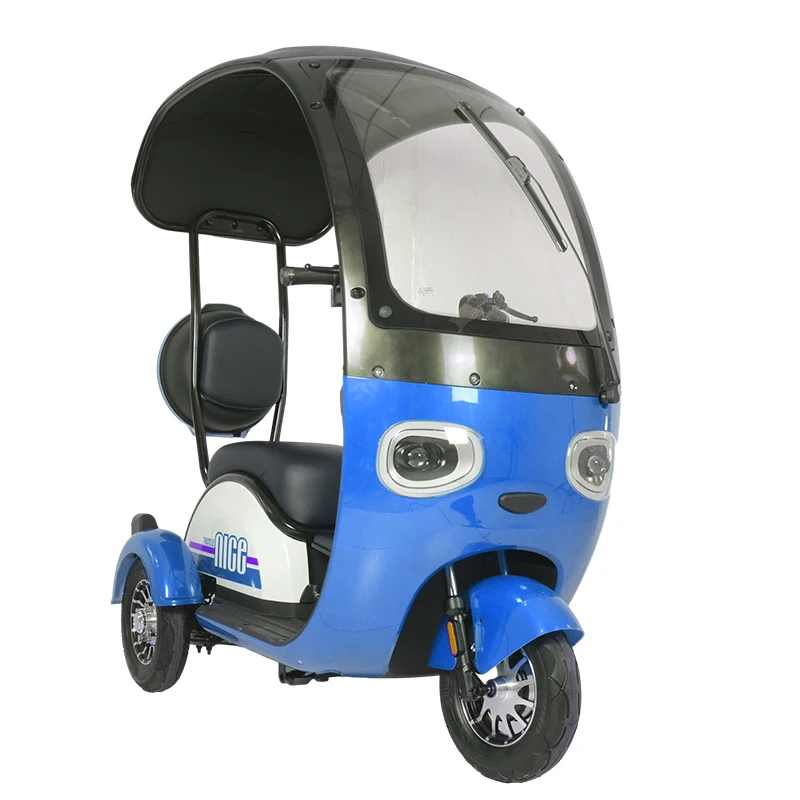 Covered Three-Wheel Electric Scooter with Roof Compact Electric Tricycle