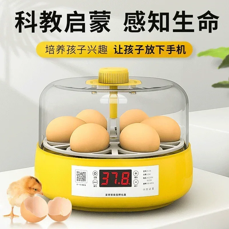 Egg incubator. Small. New. Home use. Intelligent. For lutefisk/chick/parrot. Automatic.