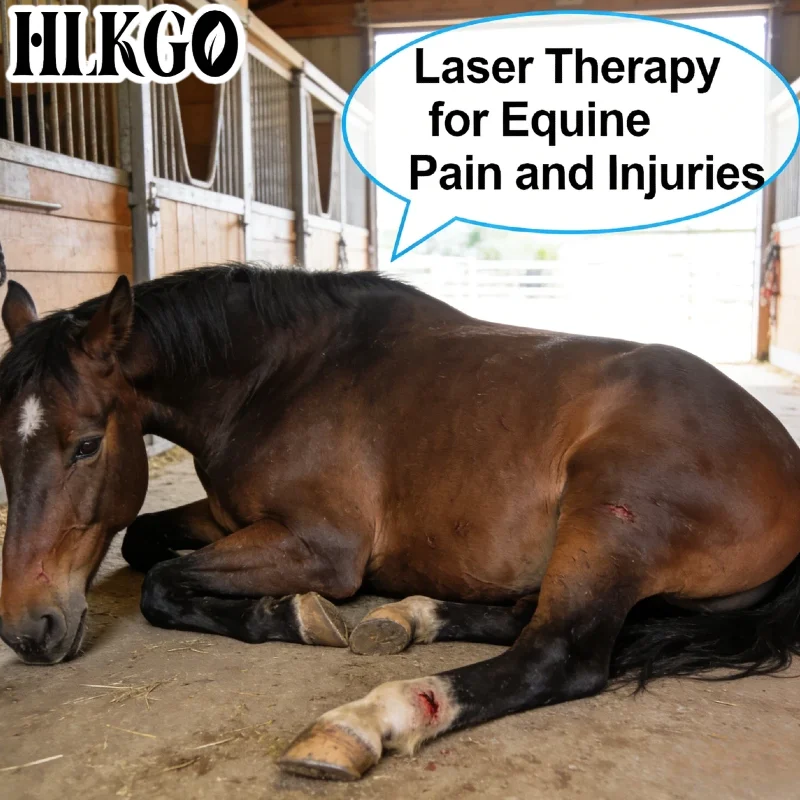 

Лазерное терапевтическое оборудование HLKGO Advanced 5W, 808 нм, 650 нм, медицинского класса, для лечения дисплазии тазобедренных суставов у собак, хромоты у лошадей, боли у кошек