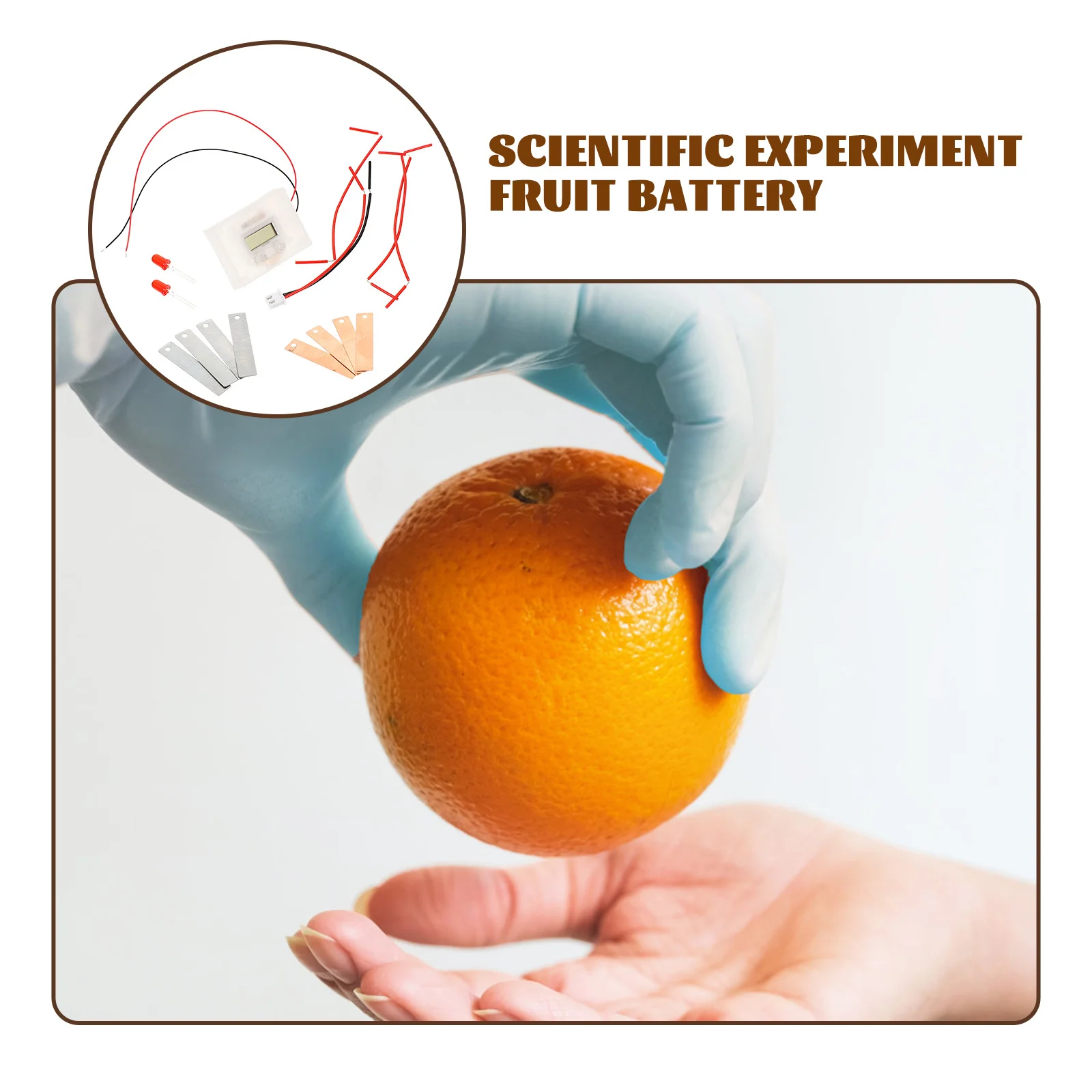 

Kids Science Experiment Kit Kits for Materials Education Fruit Batteries Electricity