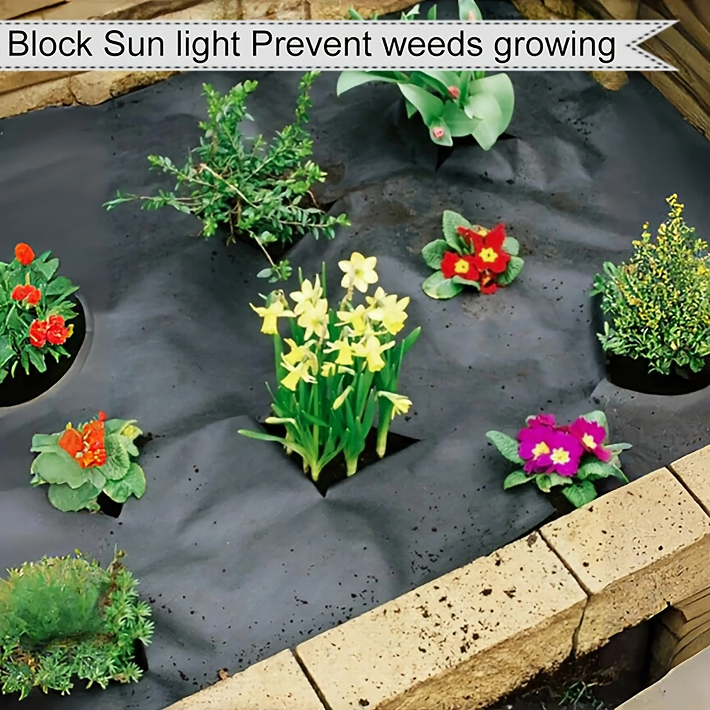 Open hole weed proof cloth -1x10 meters+10 U-shaped ground nails, suitable for weed control in gardens, farms, vegetables, etc. - Image 3