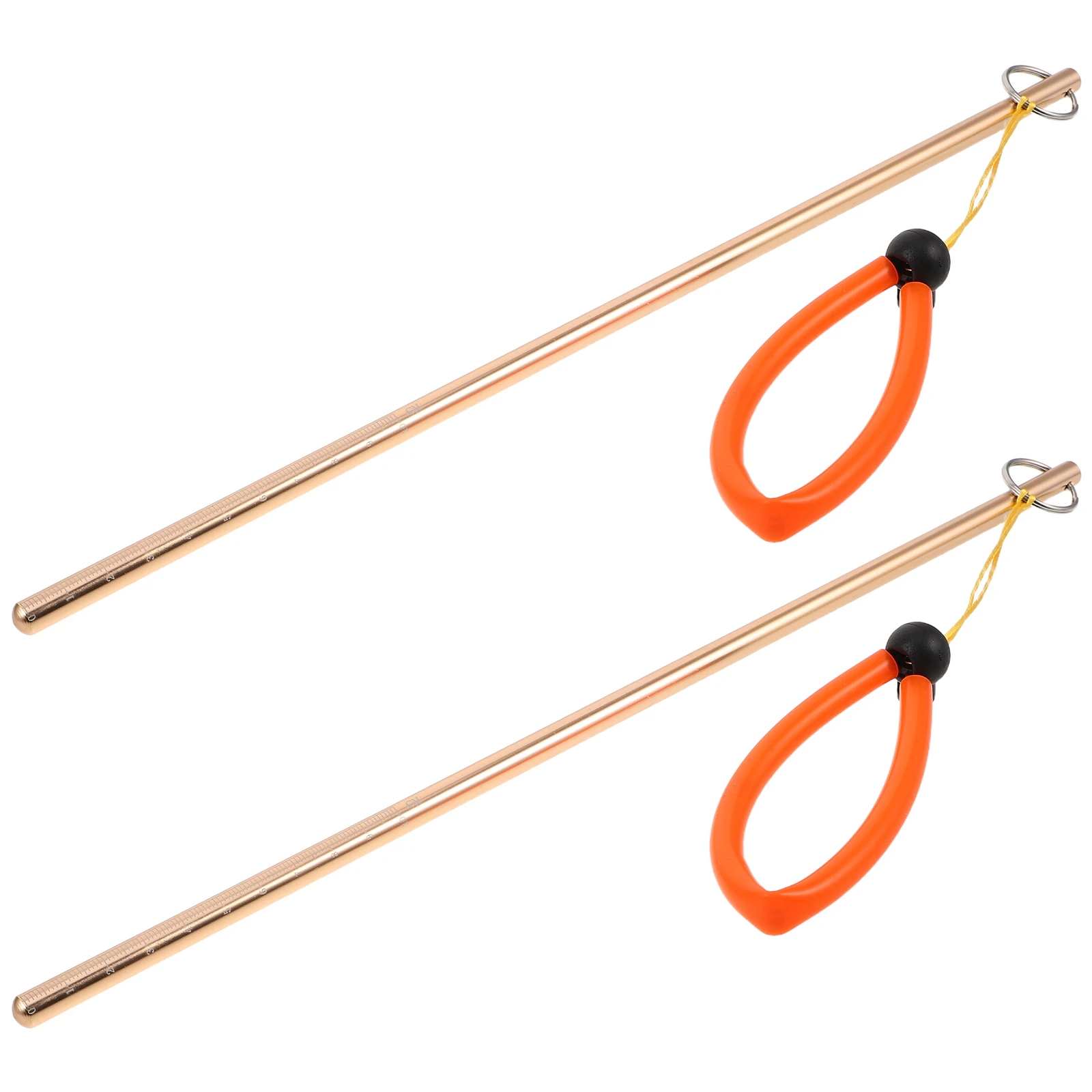 

2 Pcs Diving Probe Accessories Stick Pointer Rod Underwater Lobster Poking Pole Plastic Tickle