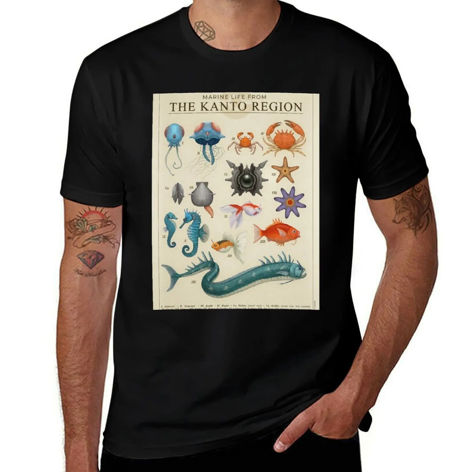 

Marine Life from Kanto T-Shirt t shirt for man 100 percent cotton anime t shirts oversize t shirts for man pack white T-Shirt