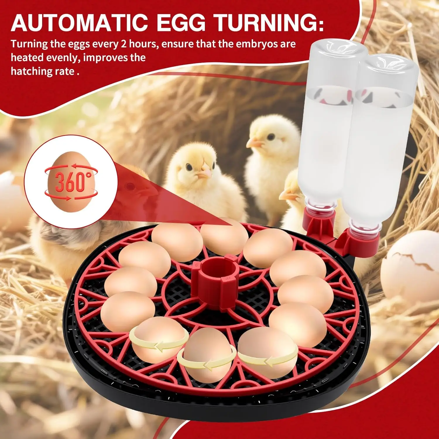 Incubator for Hatching Eggs 12 Egg Capacity with Temperature and Humidity Control & Automatic Egg Turner Digital 360° Clear View