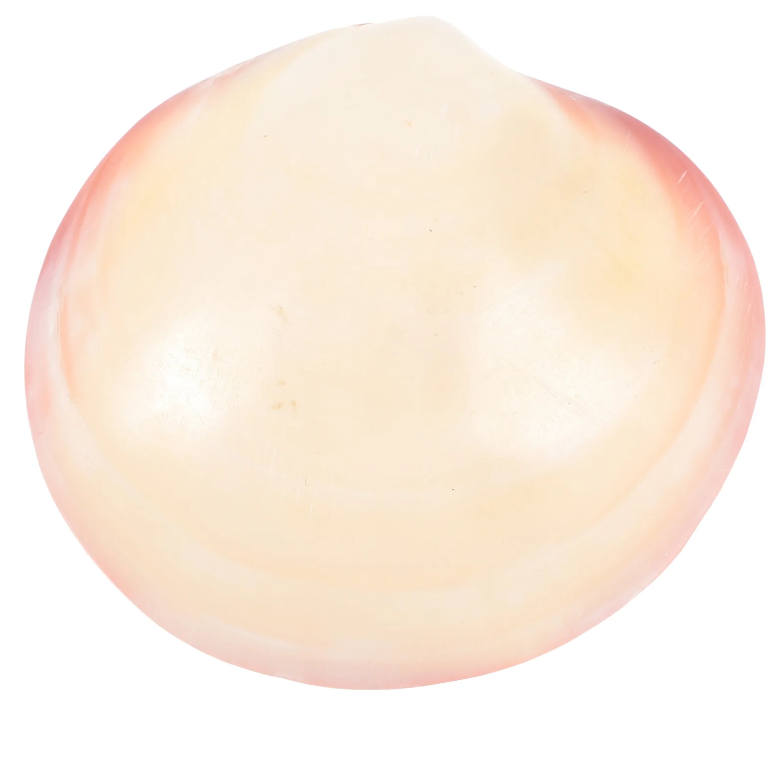 

Mini Shell Jewelry Storage Box Natural Seashell Decorative Trinket Case Small Size Jewelry Organizer for Home Store Bathroom