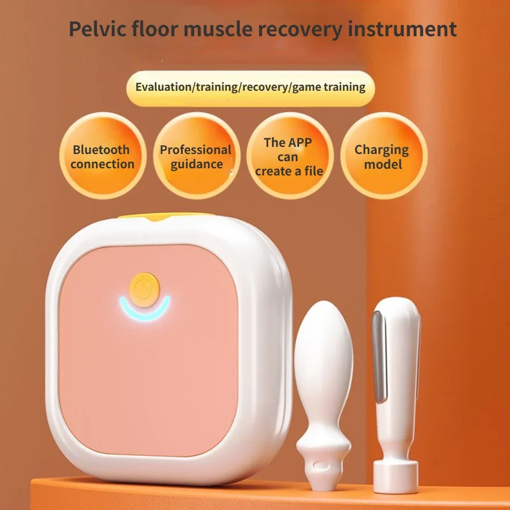 

Pelvic Floor Muscle Repair Instrument Postpartum Home Portable Enhanced Double Probe Rectus Abdominis Muscle Instrument Training