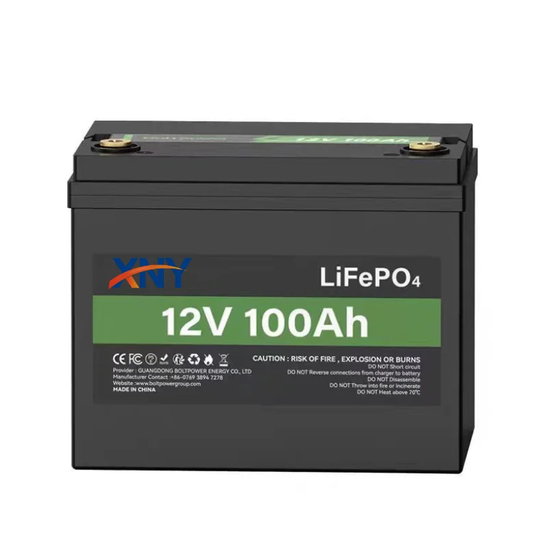 Batterie au Lithium fer Phosphate 12 volts 100Ah avec compteur LED, batterie LiFePO4, durée de vie de 10 ans, Protection basse e
