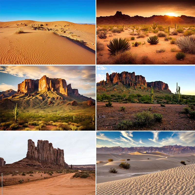 

Succulents Desert Landscape Photography Backdrops Cactus Plant Joshua Tree National Park Rock Formations Photo Background RD-01