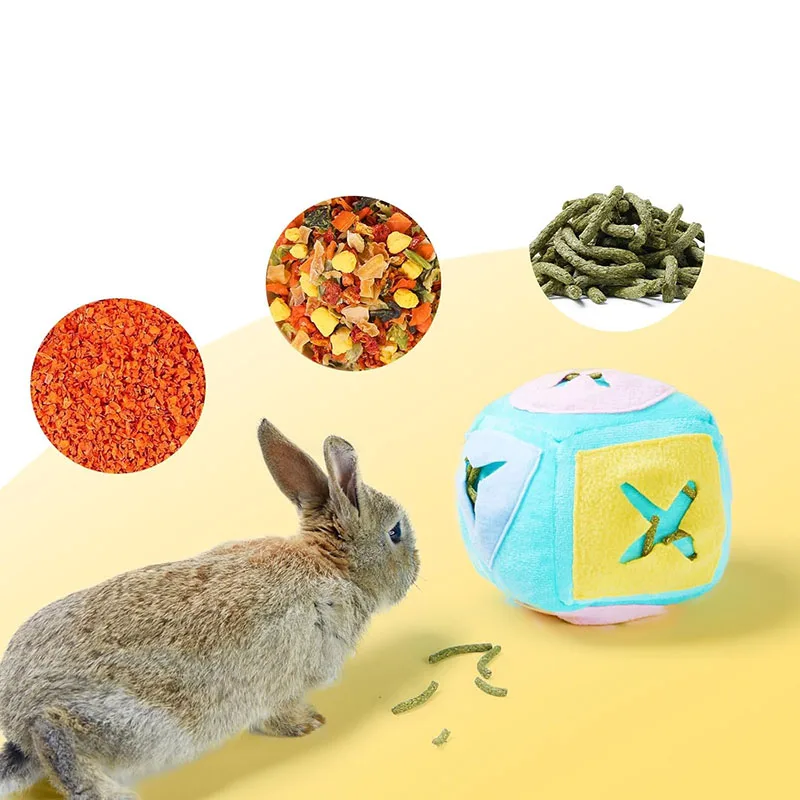 why is my rabbit vibrating Why Is My Rabbit Shaking? main image 0