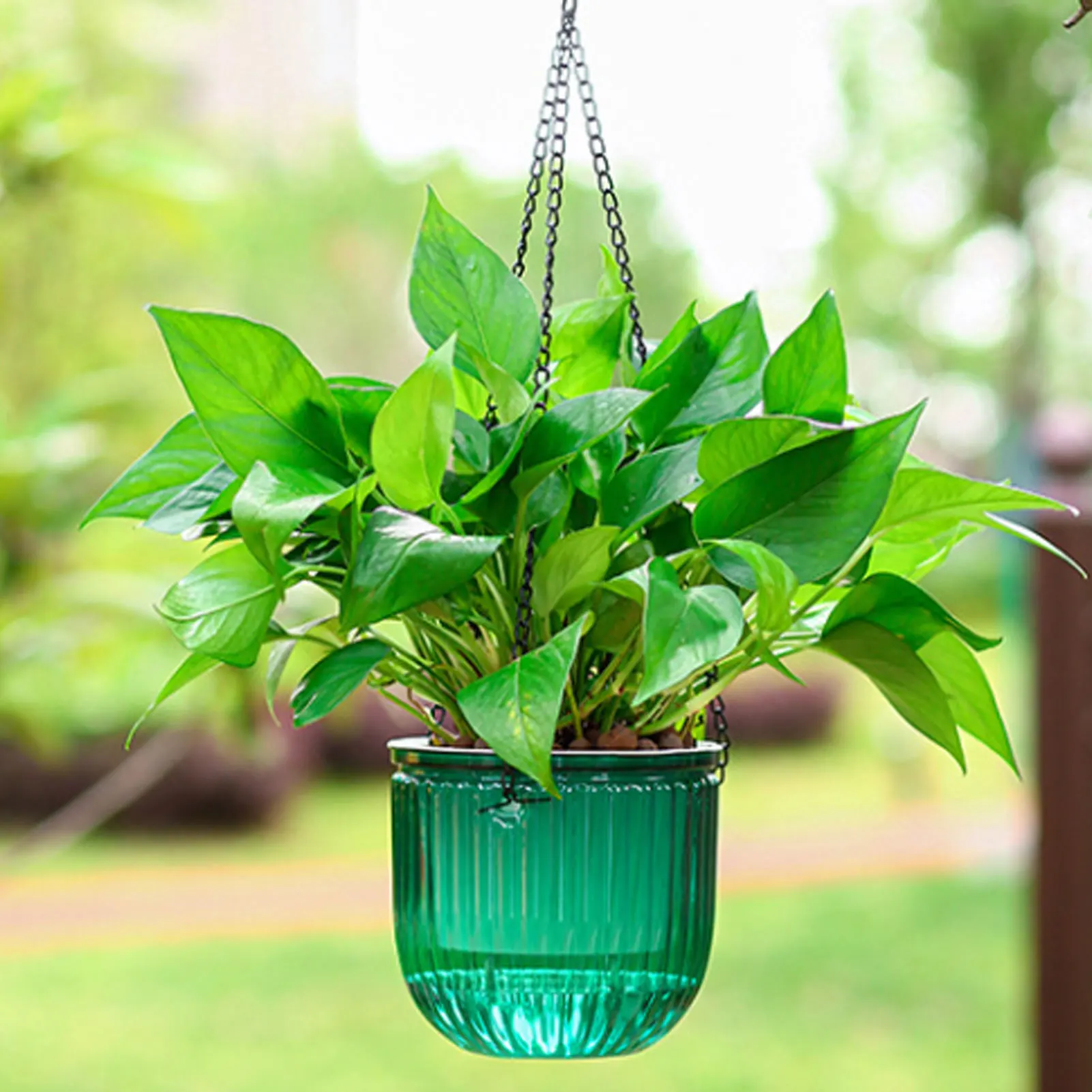 أواني نباتات ذاتية الري أوتوما - مراجعة Spider Plant Hanging وسعره