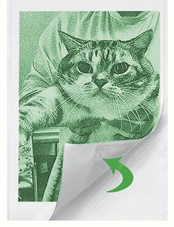 Color Thermal Paper 57×25mm Self‑Adhesive  Print Color Matches Seal Label for T02 Mini Pocket Portable Printer Sticker Paper