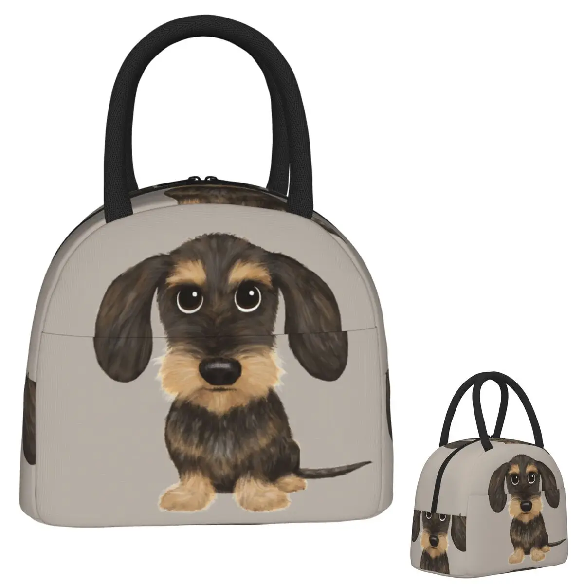 

Изолированная сумка для обеда с жесткошерстной таксой для женщин и детей, портативные коробки для еды, термосумка для обеда