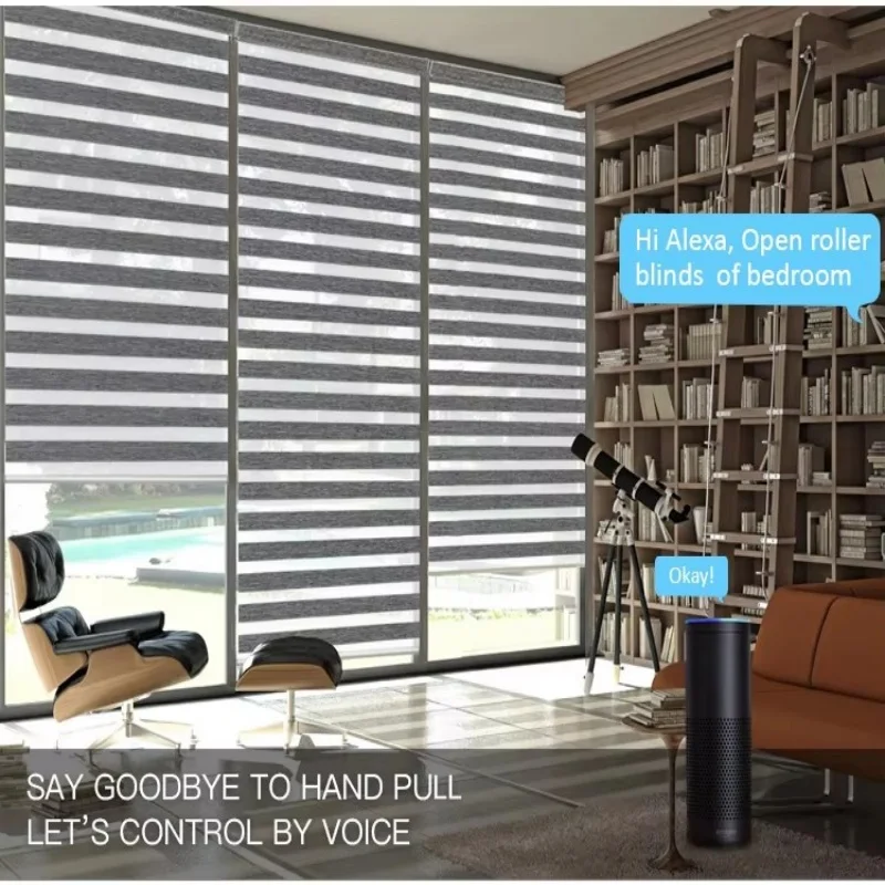 2026 Customized Blinds Wifi And Phone Control Dual Fabric Rechargeable Zigbee  Motor Motorized Zebra Roller Blinds For Window