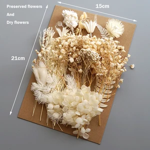 Dried flowers pressed for home decoration, natural flowers for handcrafted handicrafts, wers leaves, diy candles, epoxy resin 10 Main Sales Natural Dry Flowers - №5