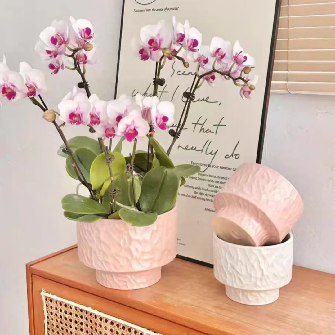 Textured Ceramic Orchid Pot Drainage Hole Pastel Pink White Succulent Planter Flower Pot Home Desktop Decor Flower Container