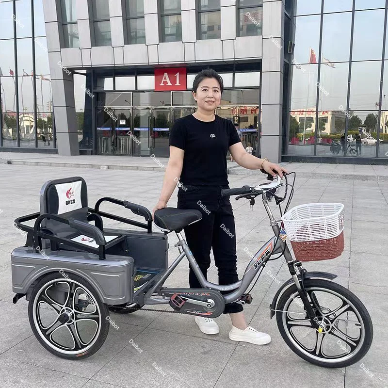 Рисунок 6 - Электрический велосипед для родителей