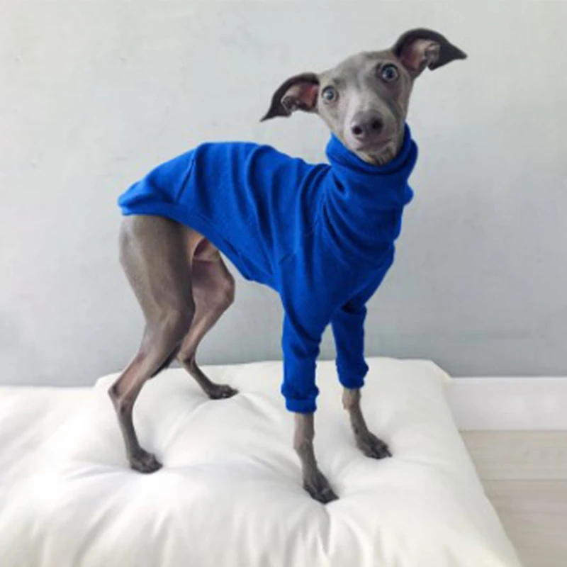 Abrigo de cuello alto de algodón para perros tipo galgo whippet_voghion.com
