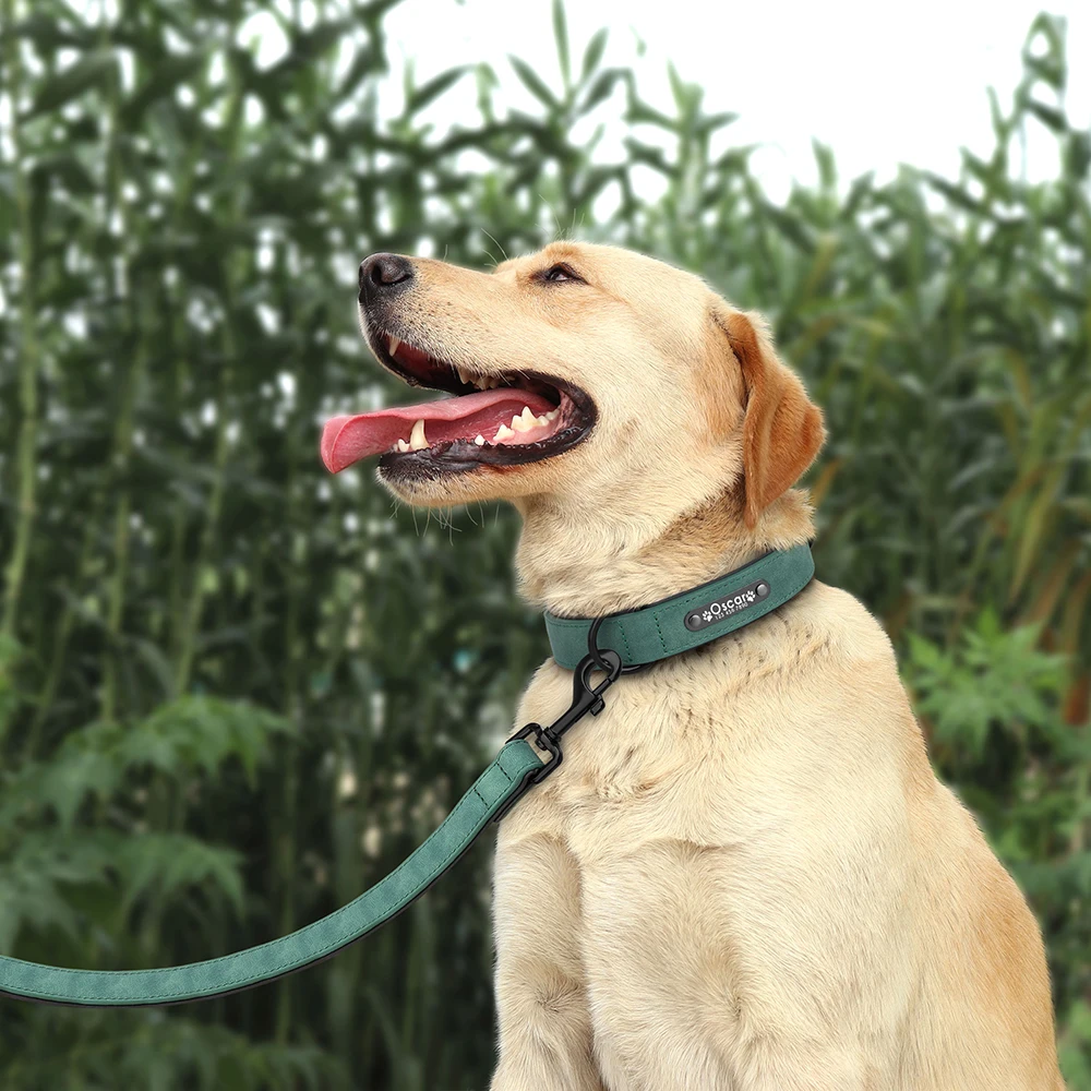 Personalisiertes PU-Leder-Hundehalsband-Leinen-Set, weich gepolsterte Hundehalsbänder, gravierte Haustier-ID-Halskette mit Leine für kleine große Hunde, Mops – Detail 22