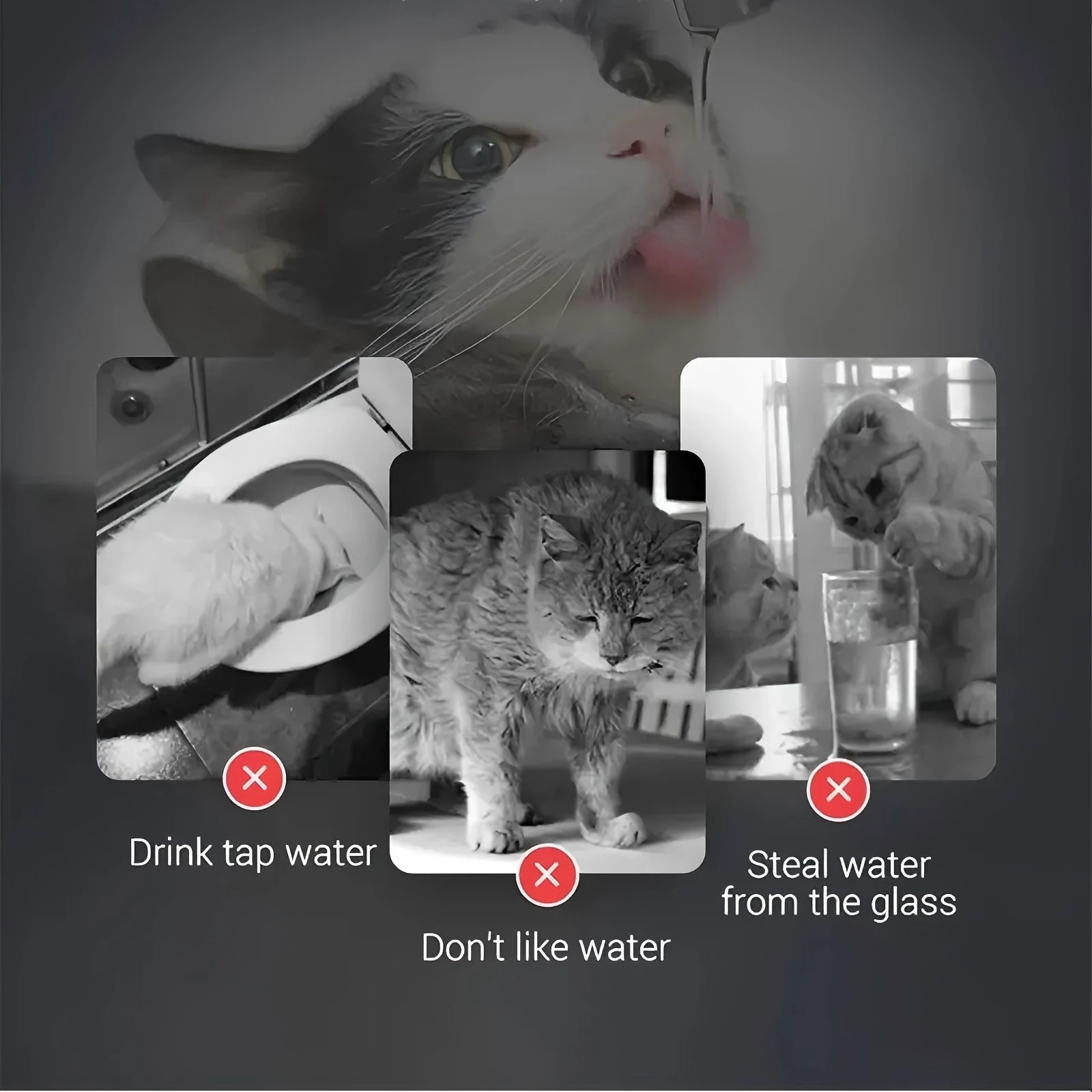 

Smart Pet Drinking Fountain - 8L Transparent Water Dispenser with Faucet & Filter (Automatic Hygienic Feeder for Pets)