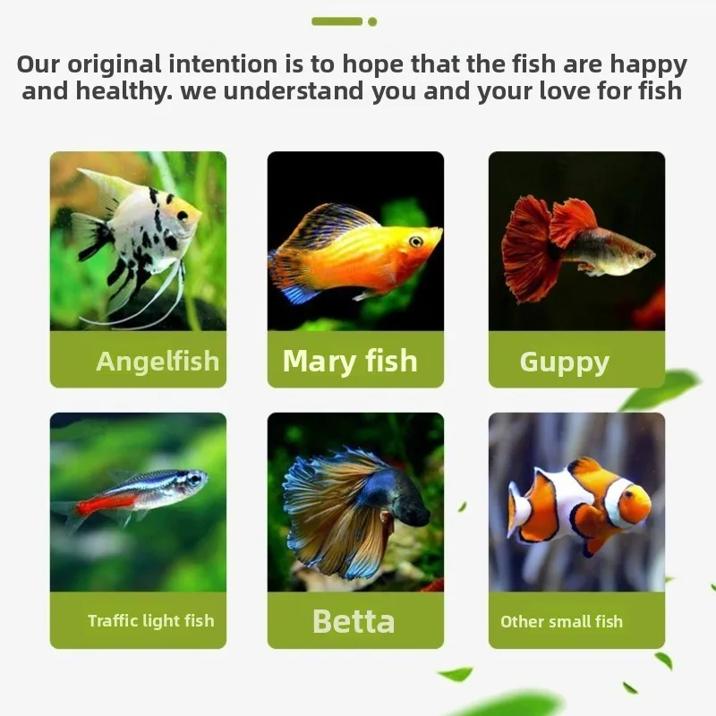 SW Tropical Fish Food Sticks - Adhesive Wafers for Community Tanks (Guppies, Tetras, Neon Tetras & Cardinal Tetras) view 6