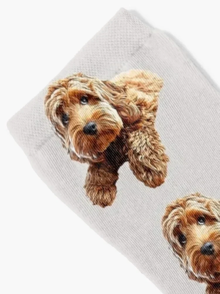 Doodle Cockerpoo Cockapoo Spoodle Cute Puppy Dog Socks designer brand luxe hockey bright garter Socks Woman Men's