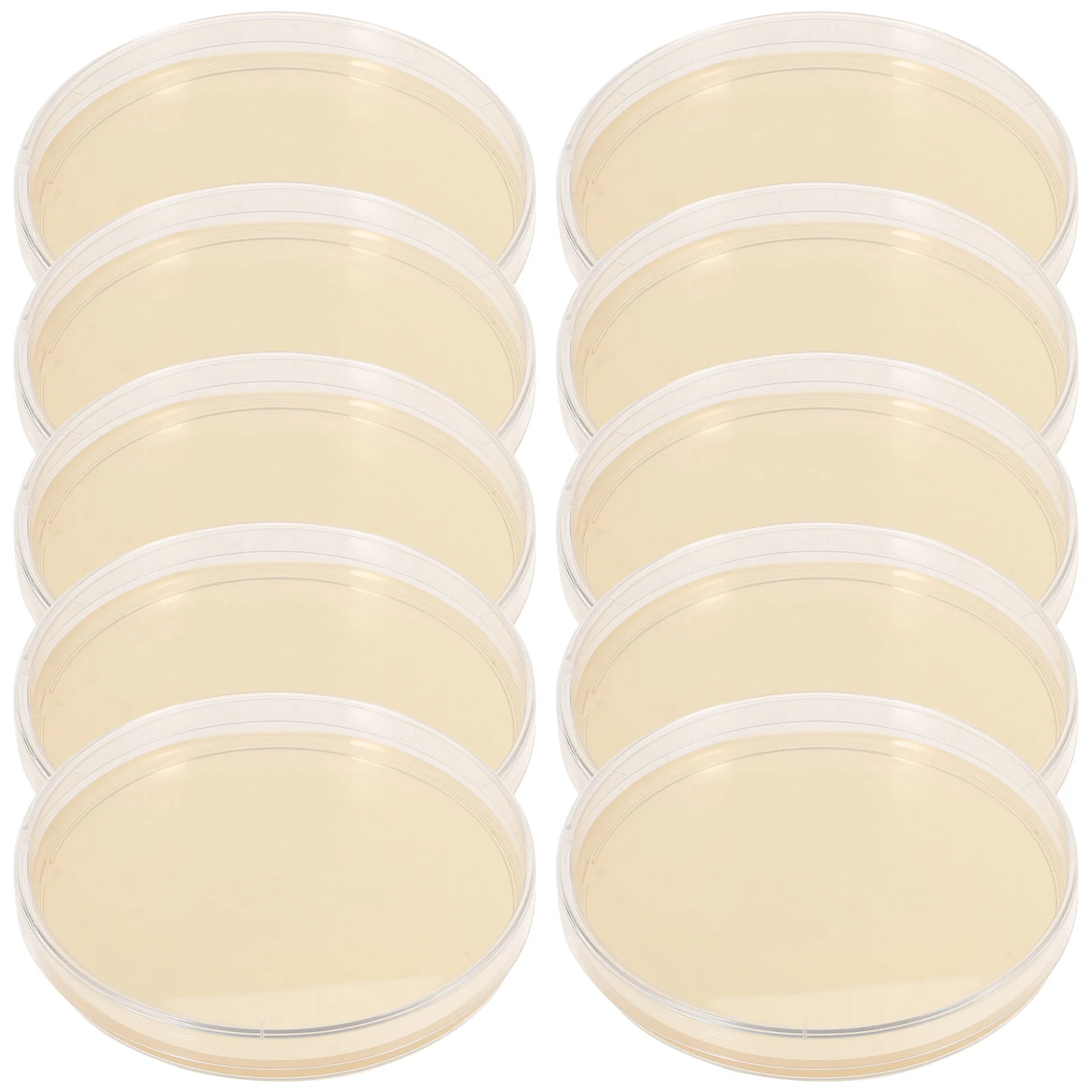 

10 Pcs Nutrient Agar Plate Prepoured Plates Portable Laboratory Experiment Supplies Flat Petri Dish