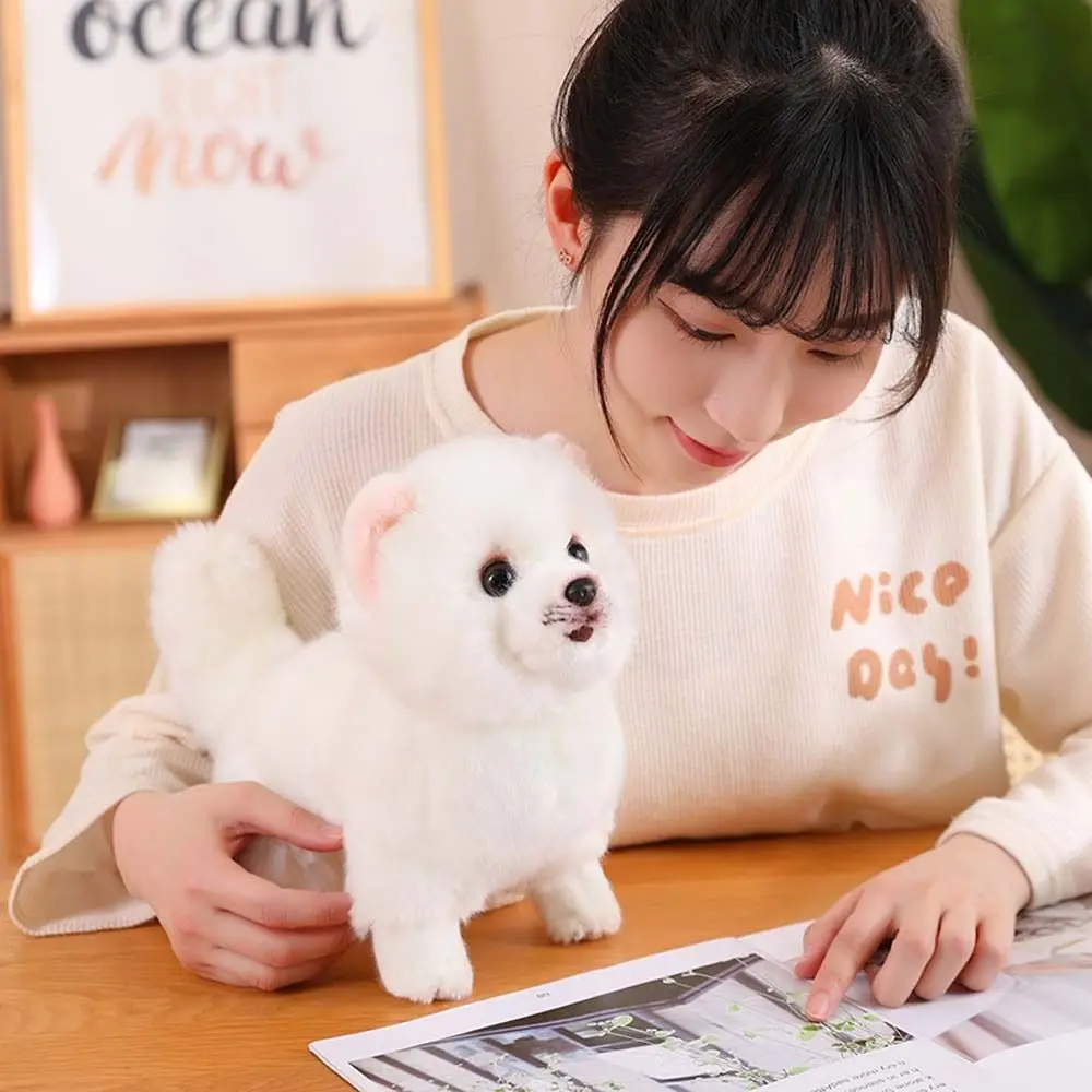 Lovely Standing Pomeranian Real Life Stuffed Animals Simulation Pomeranian Dog Home Decor Pet Stuffed Puppy Girls