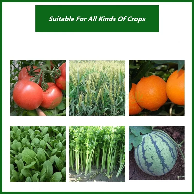 30 جرام مسحوق تأصيل سريع مسحوق هرمون تأصيل تحسين المزهرة قطع معدل البقاء على قيد الحياة النباتات تنمو قطع تراجع الأسمدة #5