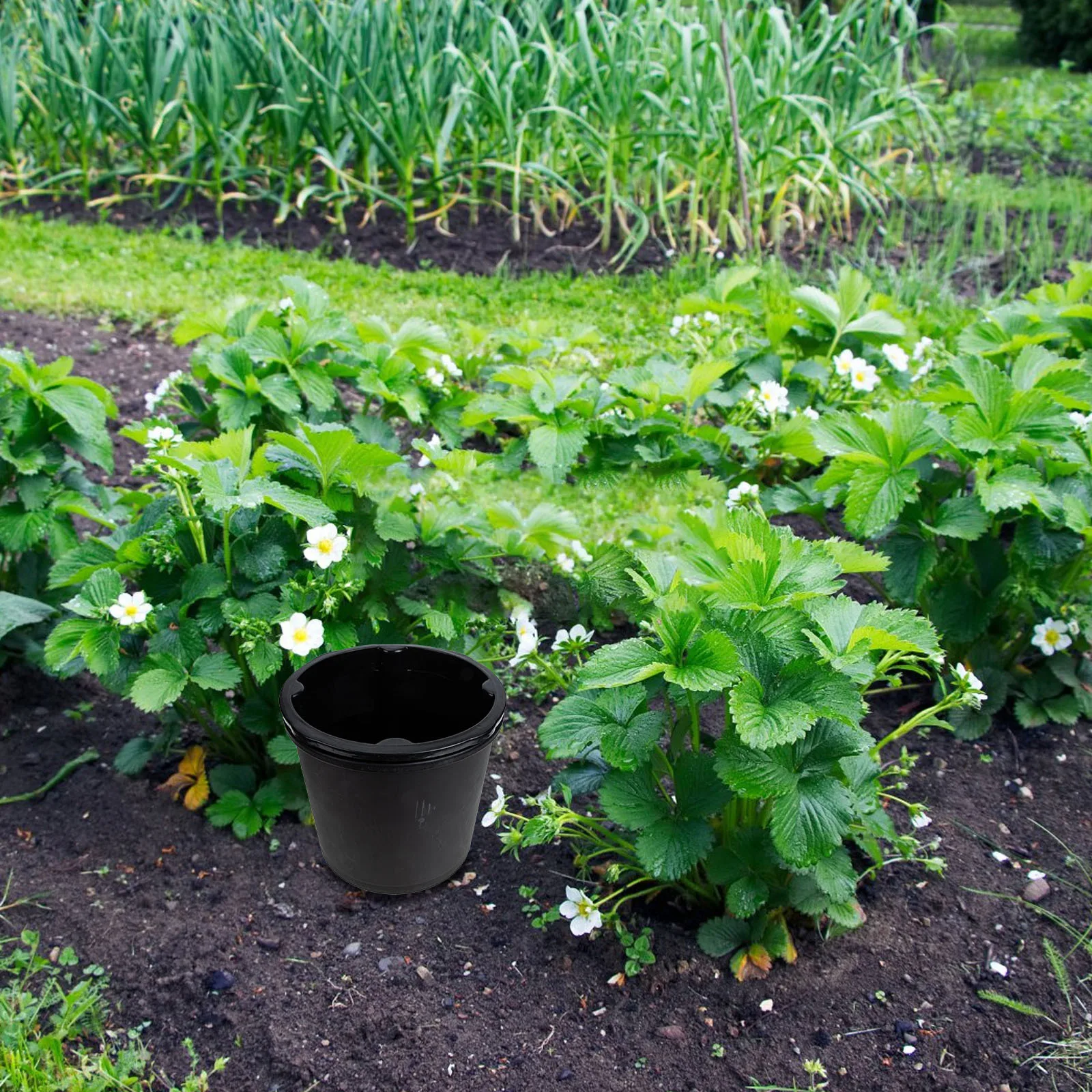 

Potato Planting Bucket Vegetable Growing Containers PP Material Durable Design Balcony Courtyard Farm Use Ginger Peanut Tool