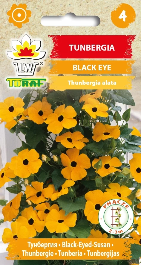 Tunbergia BLACK EYE orange Blumensamen-669 Toraf