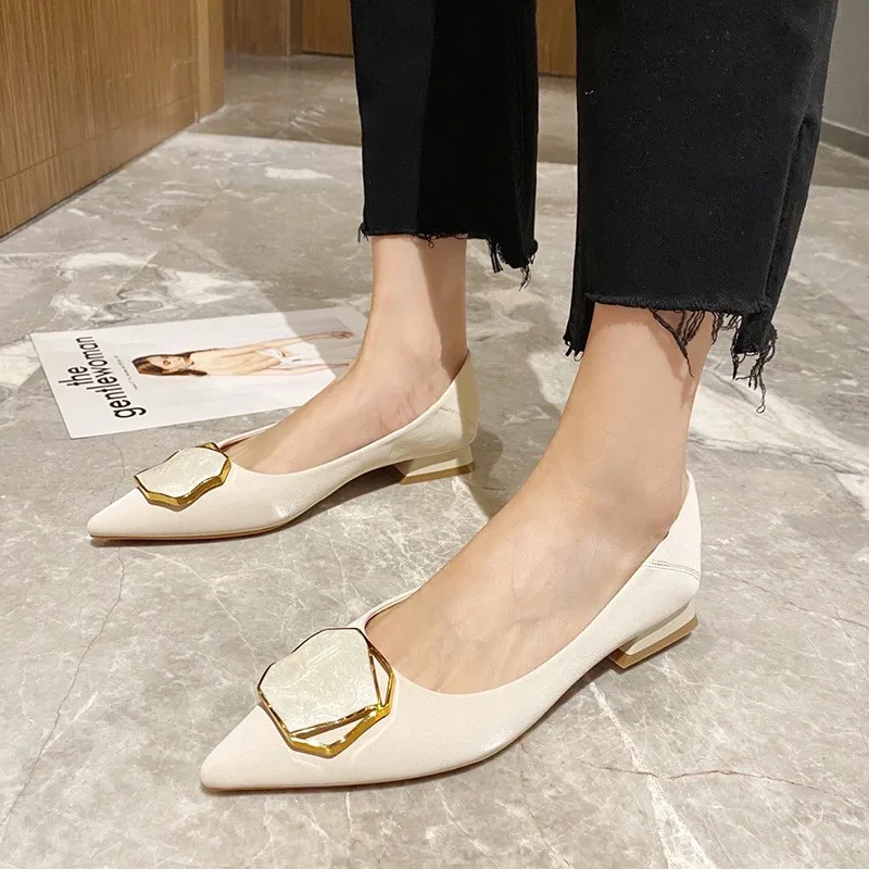 

Square Buckle Women's Shoes Versatile Low Heel Pointed Shoes Pumps Comfortable Women Shoes Zapatos De Mujer