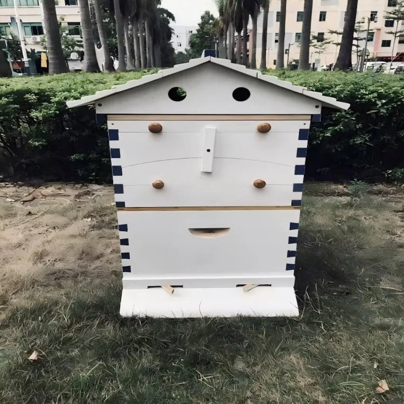 Efficient automatic honey collection hive with easy-to-harvest bee flow design