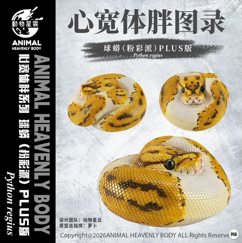 

Animal Nebula Chubby Buddies Ball Python Blue-Eyed Lucy Pastel Piebald Plus Gk Statue In Stock