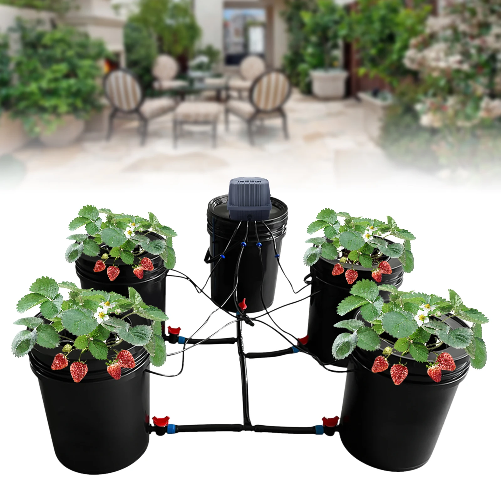 5-Gallon Hydroponics Grow System Recirculating Deep Water Culture Kit 5 Pots