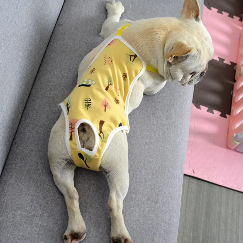 Washable Absorbent Pet Diapers Teddy Pants for Small Medium Dogs Puppy Incontinence Pads Reusable Physiological Shorts for Dogs
