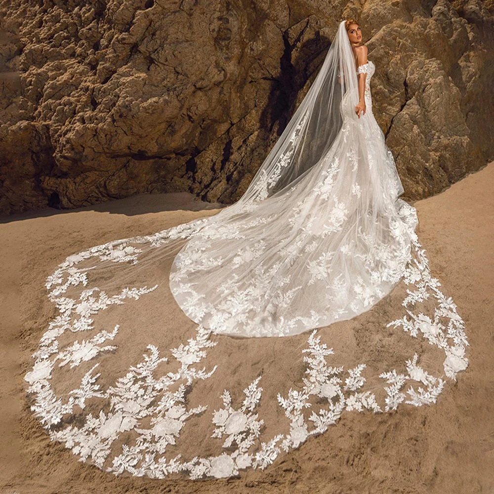

Bridal Veil for Weddings 3*4m 3D Flower Applique Wedding Accessories for Women Custom Made Catherdral Wedding Veils White
