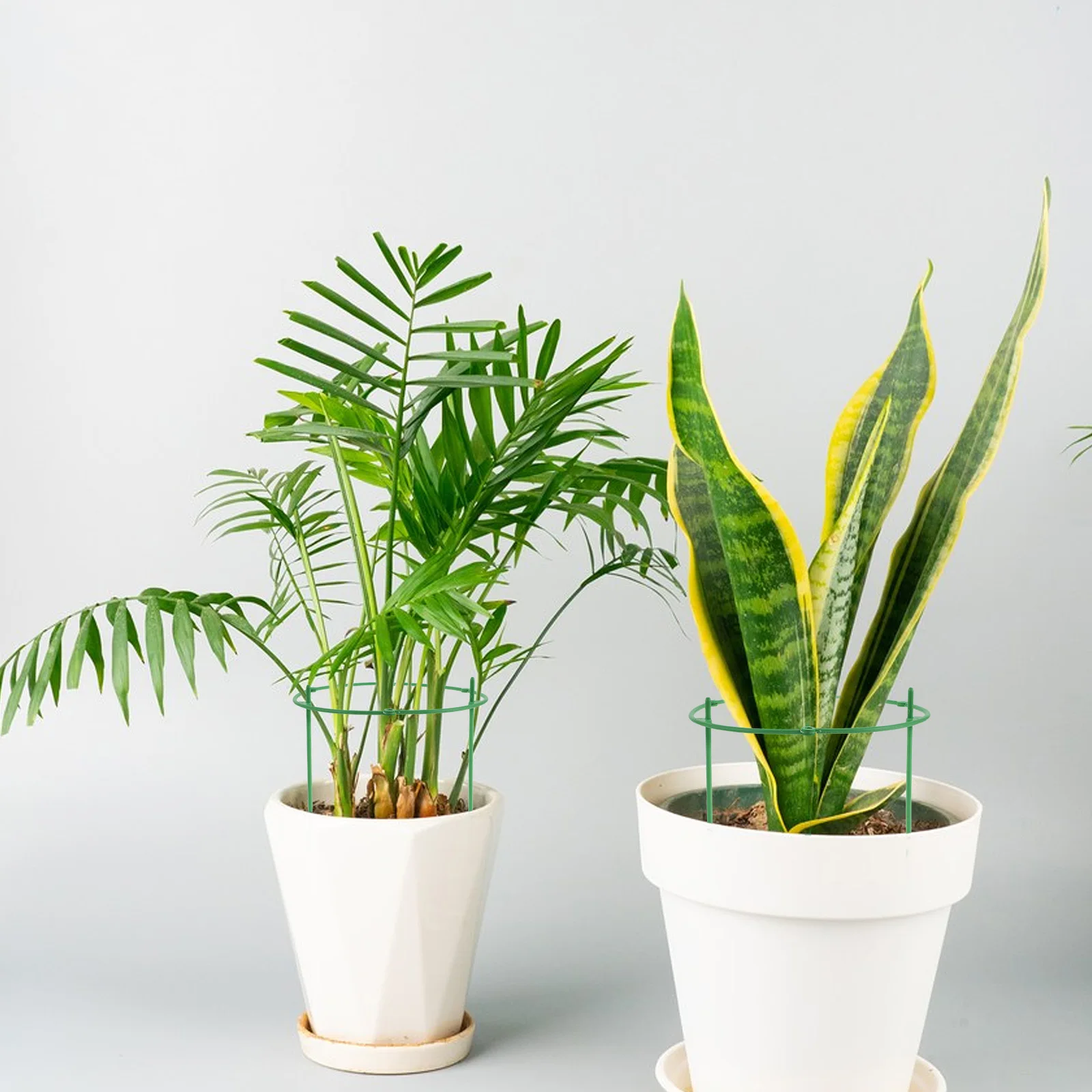 

20Pcs Garden Trellis Climbing Plants Plastic Vine Support Clips Adjustable Plant Climbing Frame for Tomatoes Orchids Outdoor