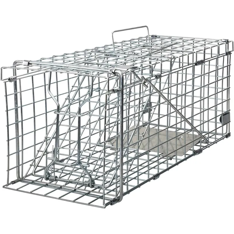 

Foldable Humane Squirrel Trap - Heavy Duty Live Animal Cage Trap (17.3”x7.4”x8.2”) for Pest Capture