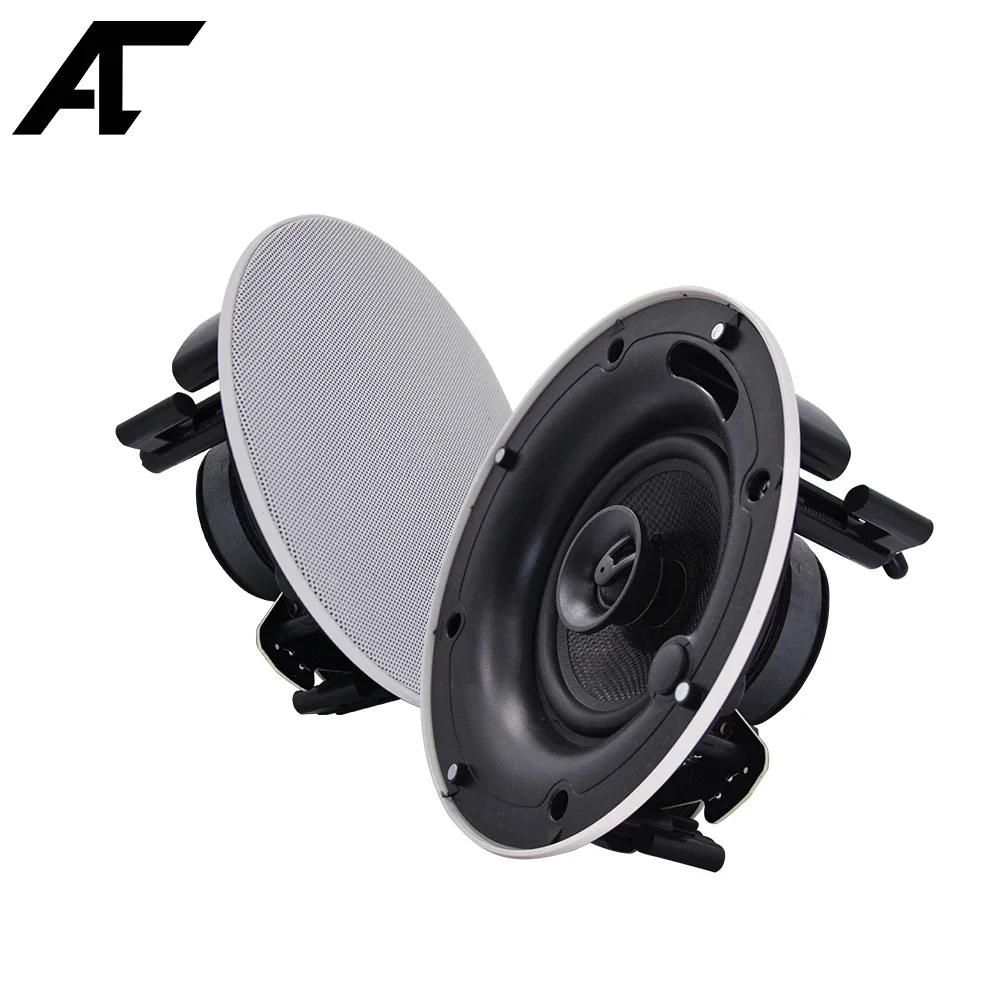 Strong Hi-Fi Ceiling Speaker 5\