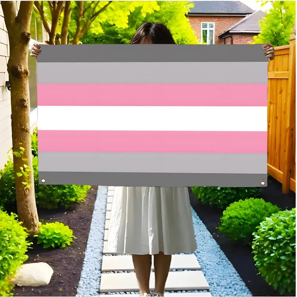 Gentle Empowering D-Demigirl Pride Flags Borderless four-ring ornament indoor outdoor decoration effortless to hang