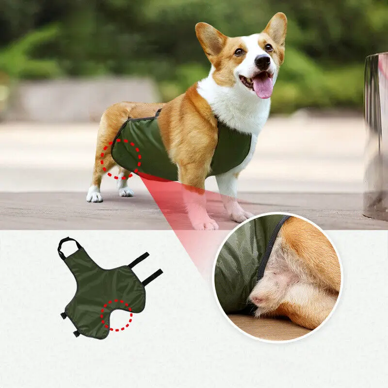 Pug Corgi Pet Dog Bellyband Clothes Waterproof Breathable Anti-dirty Belly Cover Bib Pocket Summer Clothes Washable Pet Clothes