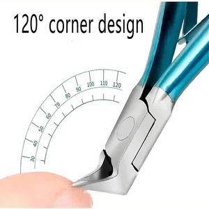 Mühürleyici corta cuticulas'taki 6 büyük satış-no. 6