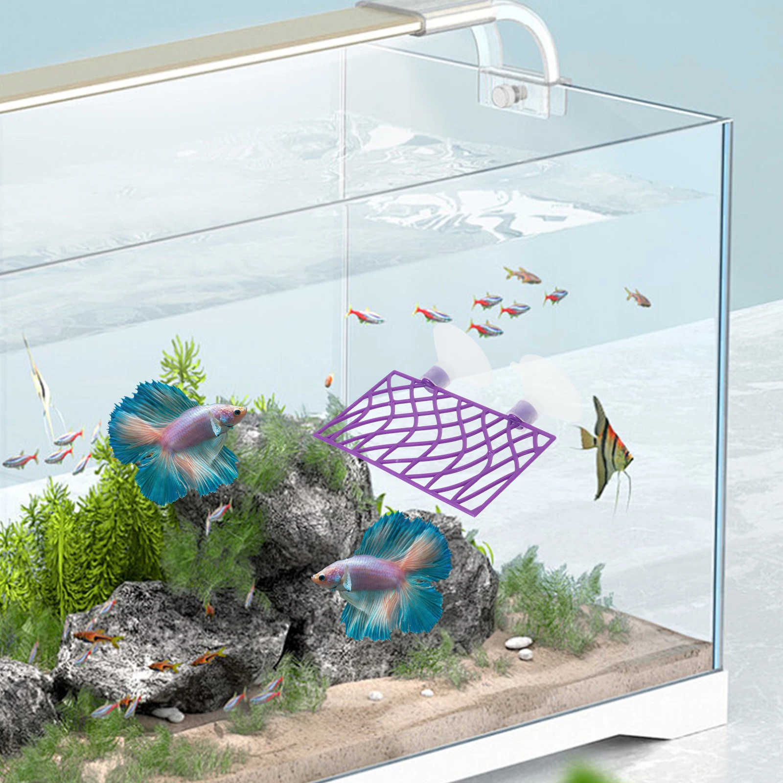 

Fish Tank Decoration Cave Aquarium Landscaping Tunnel Purple Bed Hollow Platform