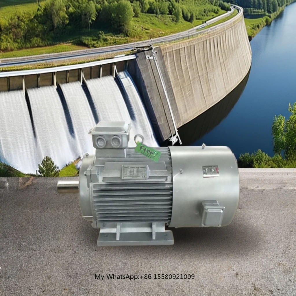 20kW 50kW 220V 380V Industrial Generator Wind Generator Low RPM High Power Generator