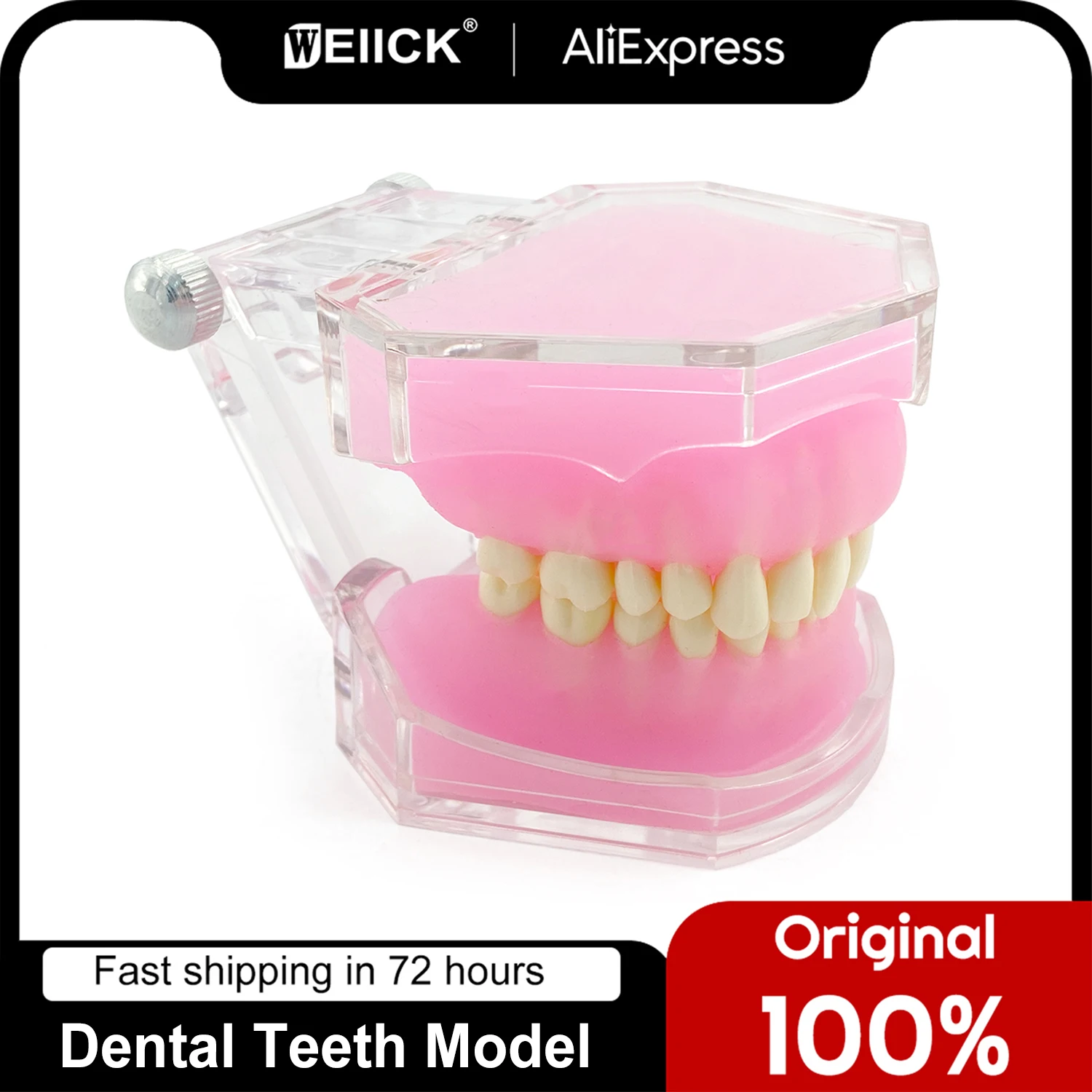 WellCK Dental Study Teaching teeth Model Standard Model Removable Teeth Soft Gum Adult Typodont Model