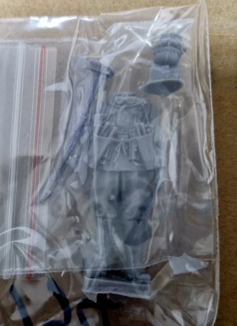 Buyer photo of this resin kit