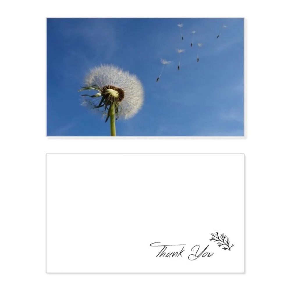 

blue beautiful white dandelion thank you card birthday paper greeting wedding appreciation