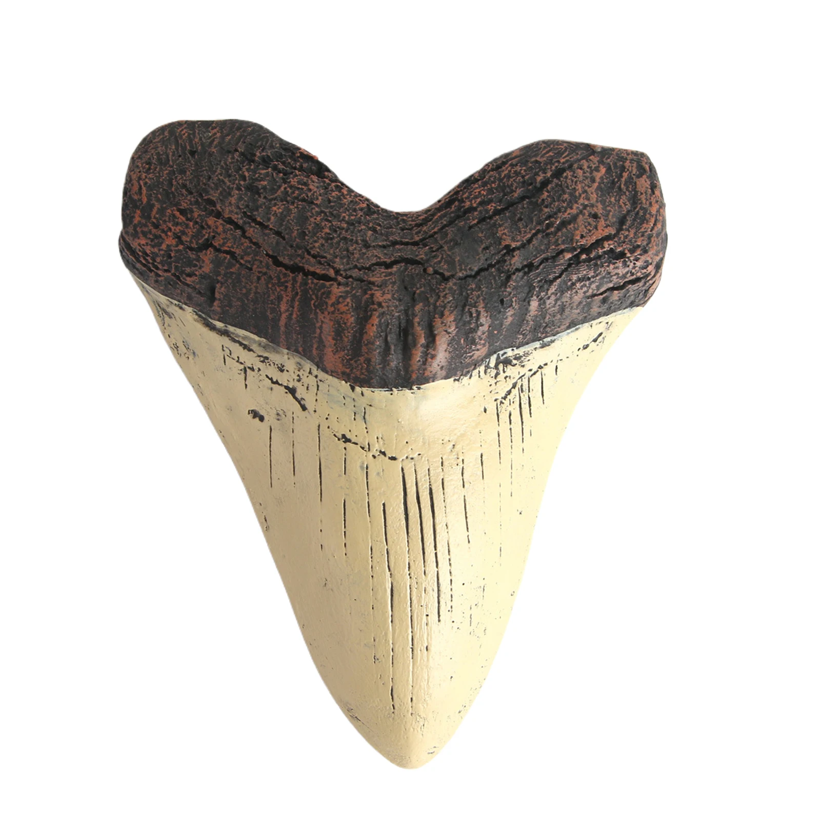 Retro Giant Shark Teeth Easy Clean Shark Tooth Replica Marine Bology Teaching Props Beige Shark Teeth Ornaments Best Gifts