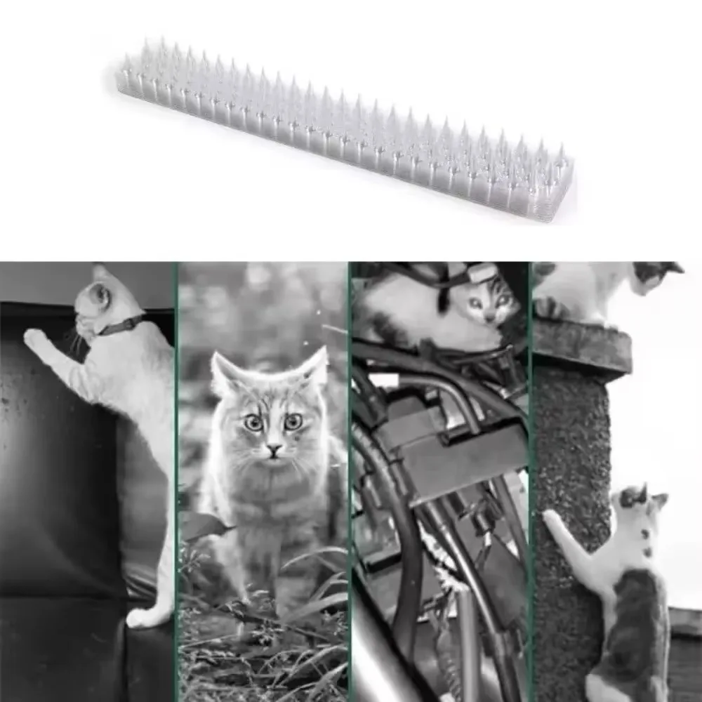 

Plastic Anti Bird And Pigeon Spikes Stainless Steel Bird Repeller Plastic Anti Cat Anti Pigeon Birds Repellent Spikes Pest